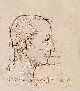 LEONARDO da Vinci Study of the proportion of the head oil painting artist